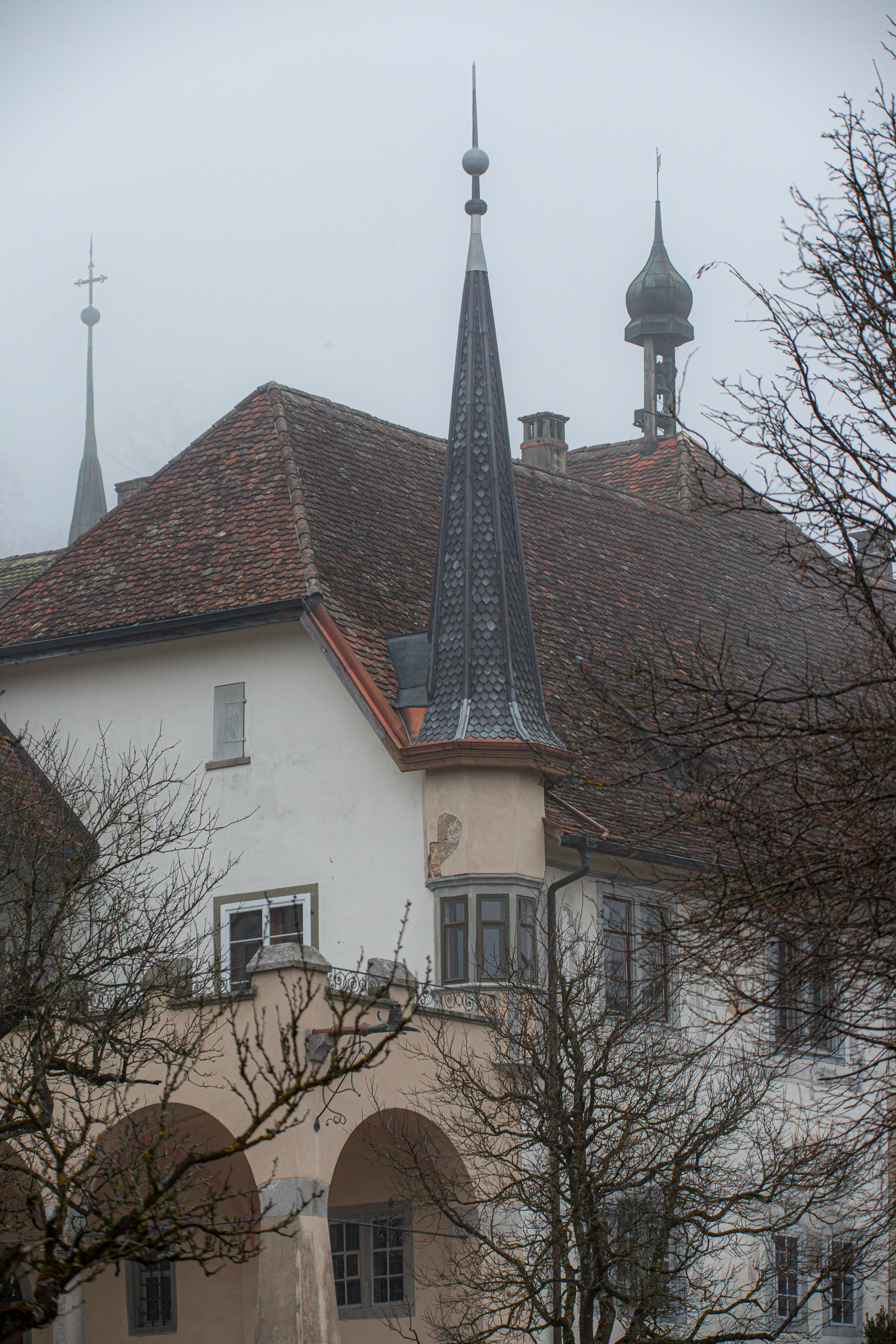 20120225101651 IMG 3568